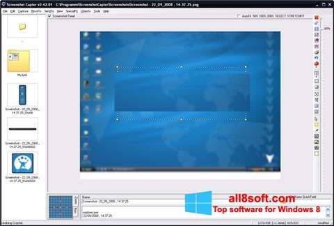 Posnetek zaslona ScreenShot Windows 8