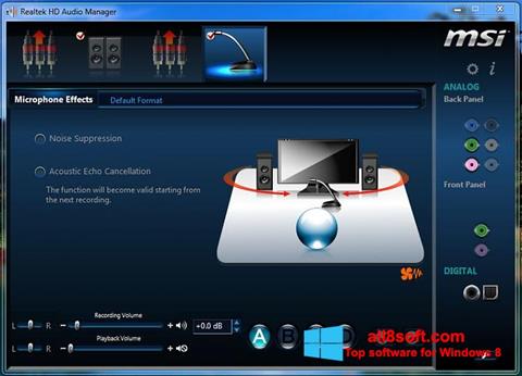 Posnetek zaslona Realtek Audio Driver Windows 8