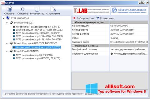 Posnetek zaslona R.saver Windows 8