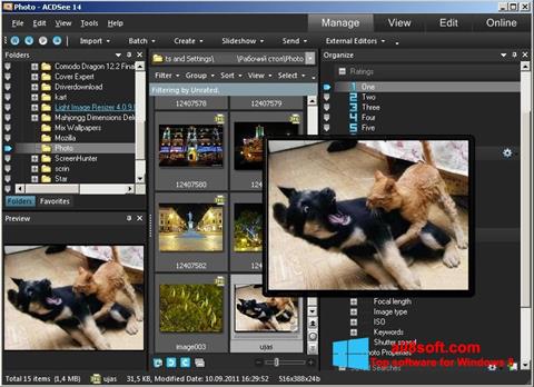 Posnetek zaslona ACDSee Photo Manager Windows 8