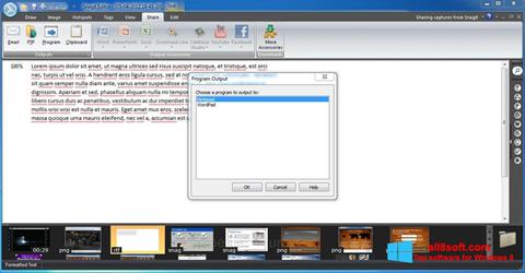 Posnetek zaslona Snagit Windows 8
