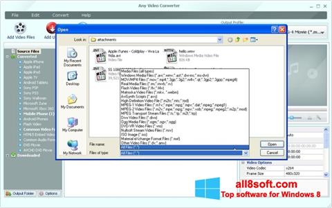 Posnetek zaslona Any Video Converter Windows 8