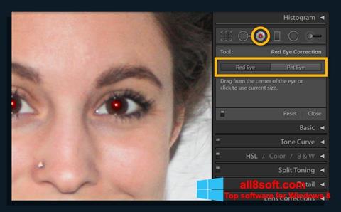 Posnetek zaslona Red Eye Remover Windows 8