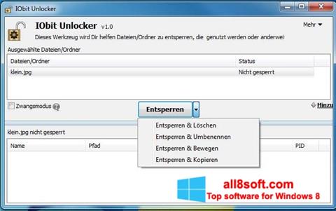 Posnetek zaslona IObit Unlocker Windows 8