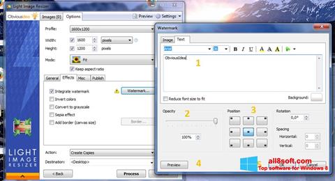 Posnetek zaslona Light Image Resizer Windows 8