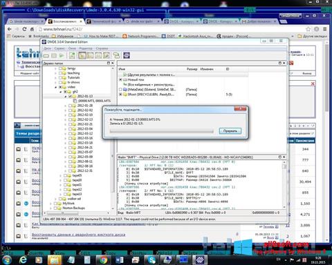 Posnetek zaslona DMDE Windows 8