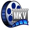 MKV Player Windows 8