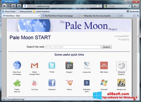 Posnetek zaslona Pale Moon Windows 8