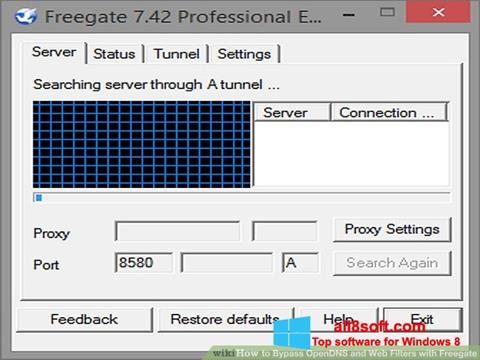 Posnetek zaslona Freegate Windows 8