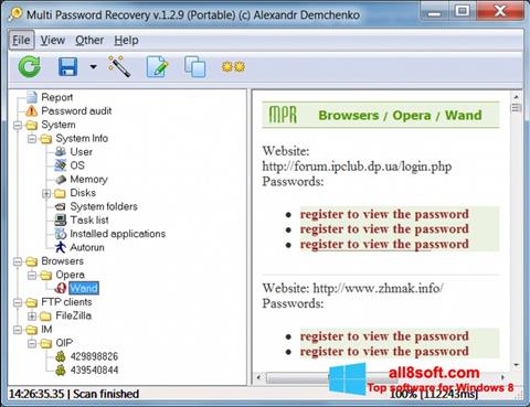 Posnetek zaslona Multi Password Recovery Windows 8