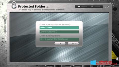 Posnetek zaslona Protected Folder Windows 8
