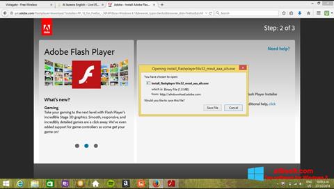Posnetek zaslona Adobe Flash Player Windows 8