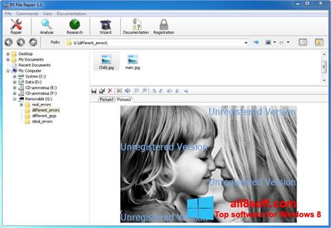 Posnetek zaslona File Repair Windows 8