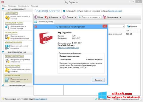 Posnetek zaslona Reg Organizer Windows 8